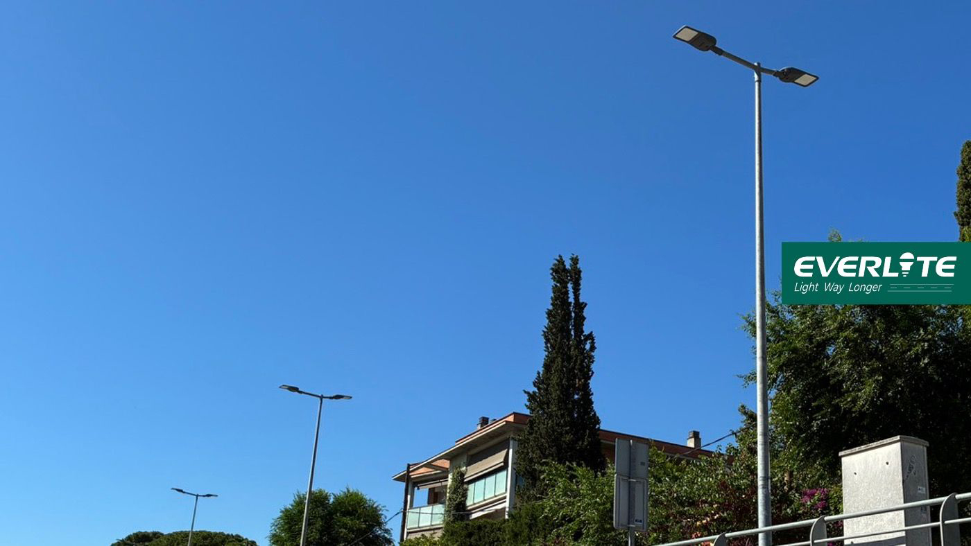 Každá ulice má naši hrdost